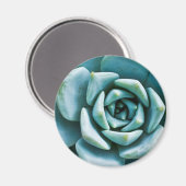 Sukkuläre Schließung Magnet (Vorderseite/Rückseite)