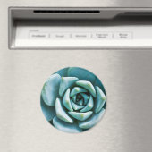 Sukkuläre Schließung Magnet (In Situ (Geschirrspüler))