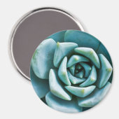 Sukkuläre Schließung Magnet (Vorderseite/Rückseite)