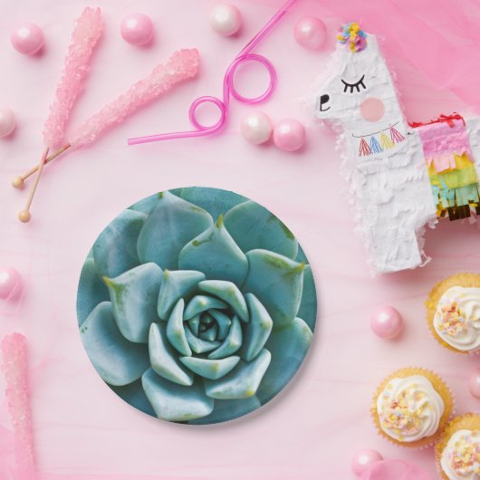 Sukkuläre Schließung Pappteller (Party)