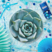 Sukkuläre Schließung Pappteller (Party)