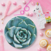 Sukkuläre Schließung Pappteller (Party)