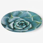 Sukkuläre Schließung Pappteller (Schrägansicht)