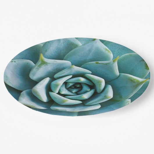 Sukkuläre Schließung Pappteller (Schrägansicht)