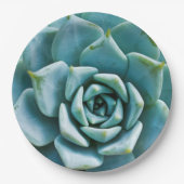 Sukkuläre Schließung Pappteller (Vorderseite)