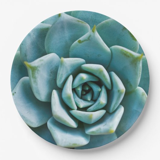 Sukkuläre Schließung Pappteller (Vorderseite)