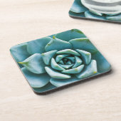 Sukkuläre Schließung Untersetzer (Linke Seite)