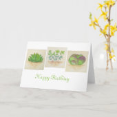 Sukkuläre Trio-Geburtstagskarte Karte (Gelbe Blume)