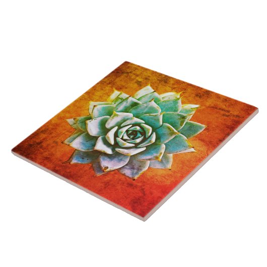 Sukkuläre Wasserfarbe auf orangefarbenem Rost Fliese (Seite)