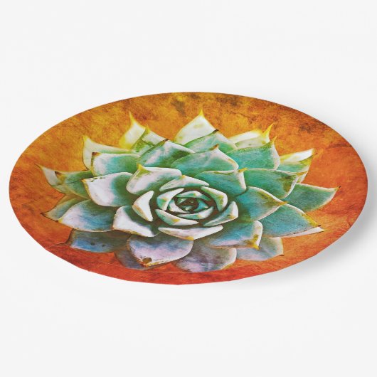 Sukkuläre Wasserfarbe auf orangefarbenem Rost Pappteller (Schrägansicht)