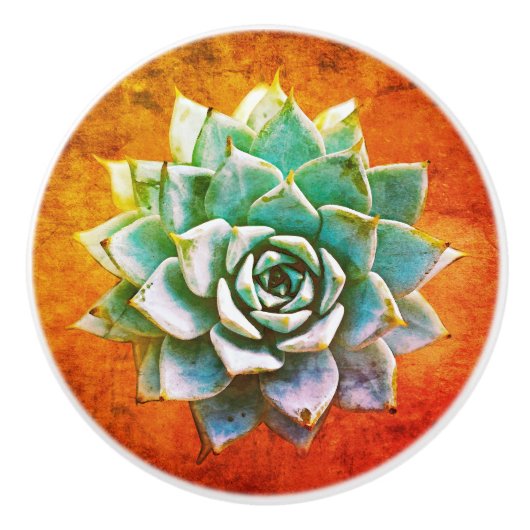 Sukkuläre Wasserfarbe auf orangefarbener Keramik Keramikknauf (Vorderseite)