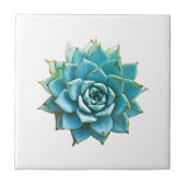 Sukkuläre Wasserfarbe Fliese (Vorderseite)