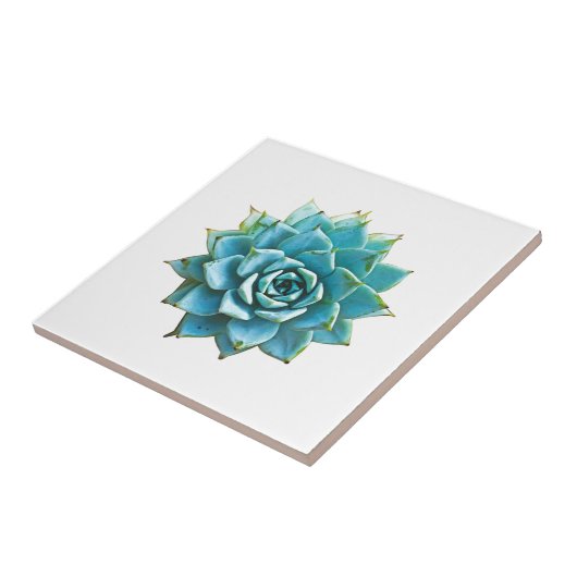 Sukkuläre Wasserfarbe Fliese (Seite)