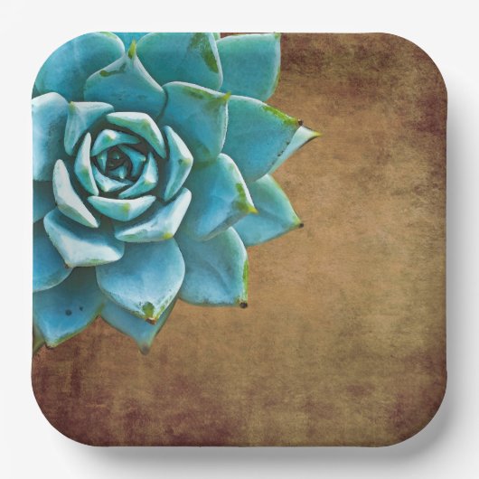 Sukkuläre Wasserfarbe Rustikale Braun Pappteller (Vorderseite)