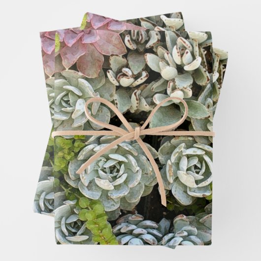 Sukkulärer Garten 1 Geschenkpapier Set (Beispiel)
