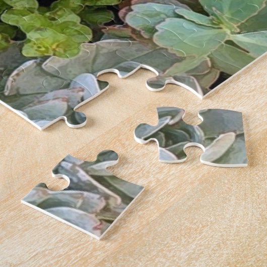 Sukkulärer Garten 1 Puzzle (Seite)