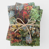 Sukkulärer Garten 2 Geschenkpapier Set (Beispiel)
