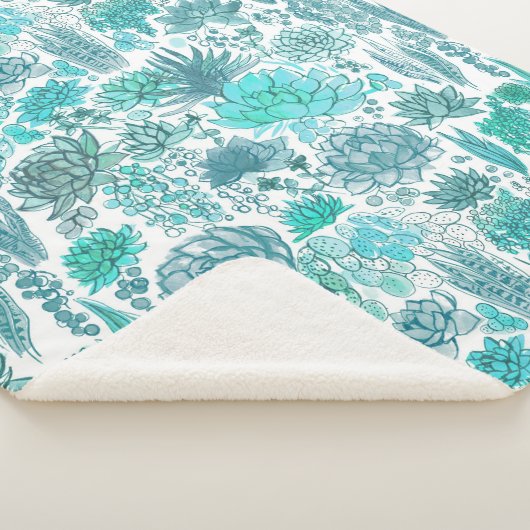 Sukkulärer Garten Sherpadecke (3/4)