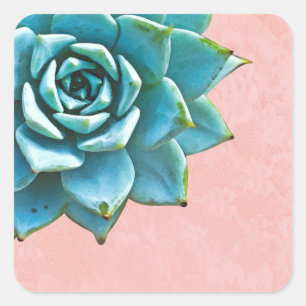 Sukkuläres Aquarellpinsel Quadratischer Aufkleber
