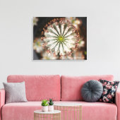 Sukkuläres Foto von Debra Lee Baldwin Leinwanddruck (Insitu (Wohnzimmer))