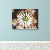 Sukkuläres Foto von Debra Lee Baldwin Leinwanddruck (Insitu (Holzboden))