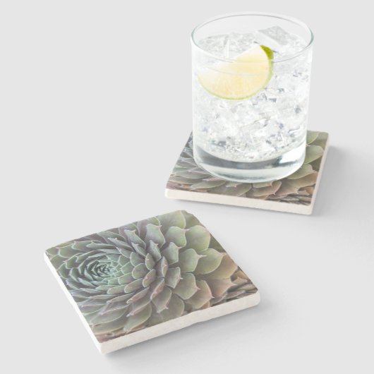 Sukkuläres Fraktal Steinuntersetzer (Seitenansicht)