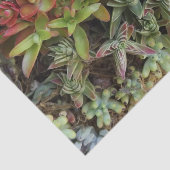 Sukkuläres Gewebepapier Seidenpapier (Ausschnitt)