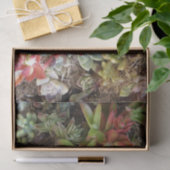 Sukkuläres Gewebepapier Seidenpapier (Geschenk)