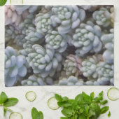 Sukkuläres Küchentuch (Gefaltet)