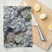 Sukkuläres Küchentuch (Viertel Falte)