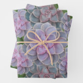 Sukkuläres Lila Periwinkle Blumenpapier Geschenkpapier Set (Beispiel)