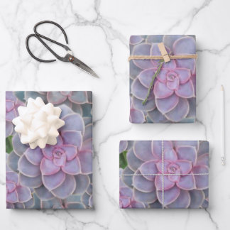 Sukkuläres Lila Periwinkle Blumenpapier Geschenkpapier Set