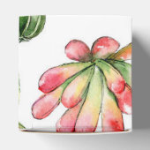 Sukkuläres Party Geschenkschachtel (Oben)