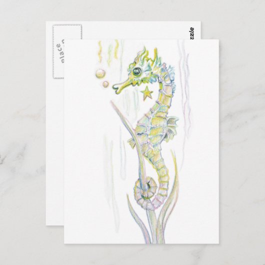 Sukkuläres Seepferd Postkarte (Vorne/Hinten)