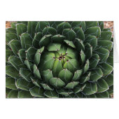 Sukkulent agave Grußkarte (Vorderseite (Horizontal))