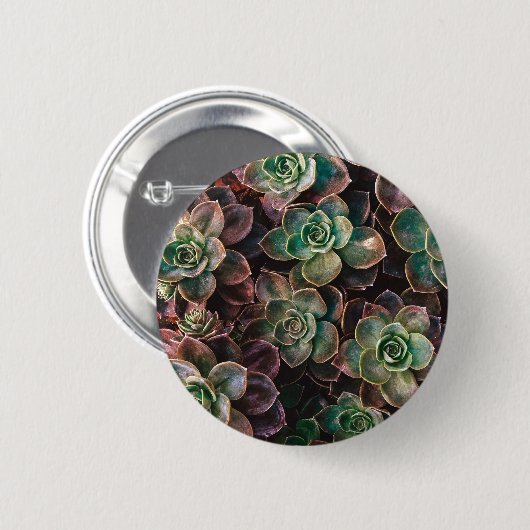 sukkulent button (Vorne & Hinten)