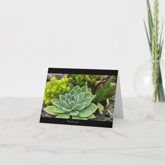 sukkulent dankeskarte (Vorderseite)