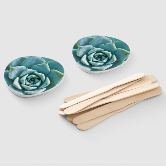 sukkulent fächer (Non-assembled)