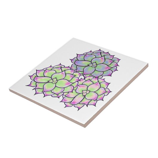 Sukkulent Fliese (Seite)