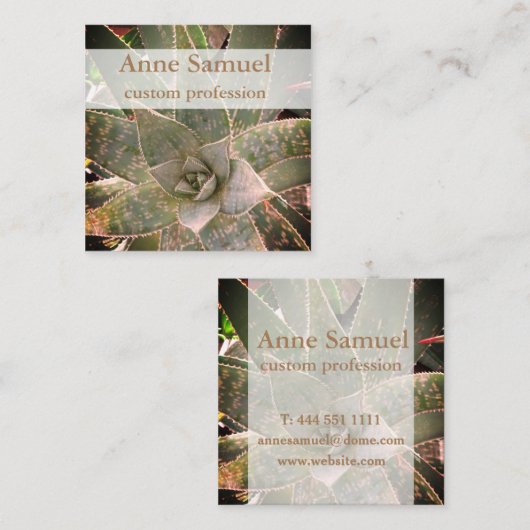 Sukkulent, Fotografie, Personalisiert Quadratische Visitenkarte (Vorne/Hinten)