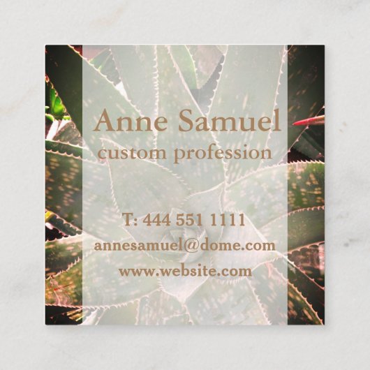 Sukkulent, Fotografie, Personalisiert Quadratische Visitenkarte (Rückseite)