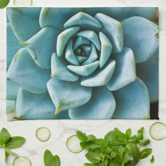 sukkulent geschirrtuch (Gefaltet)