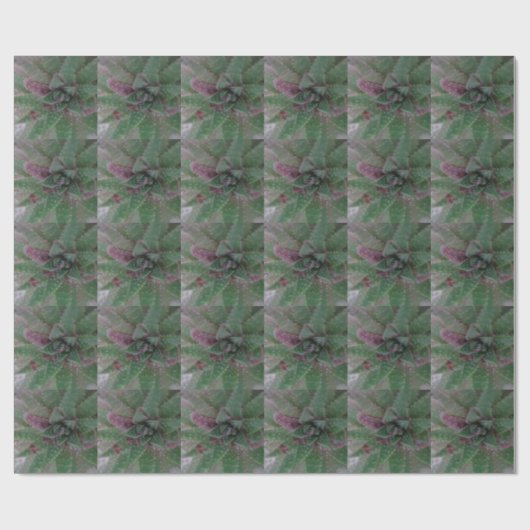 Sukkulent, grün Lila, Natur, Flora Pflanze Geschenkpapier (Flach)