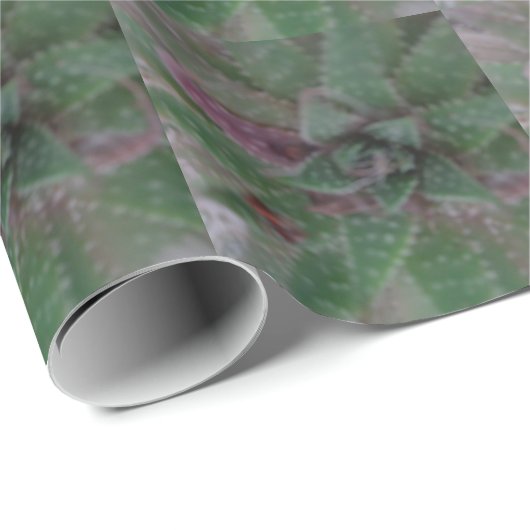 Sukkulent, grün Lila, Natur, Flora Pflanze Geschenkpapier (Rolleneckpunkt)