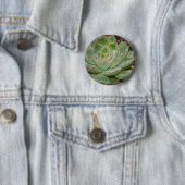 Sukkulent, Hen und Küken Button (Beispiel)