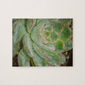 Sukkulent, Hen und Küken Puzzle (Horizontal)