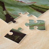 Sukkulent, Hen und Küken Puzzle (Seite)