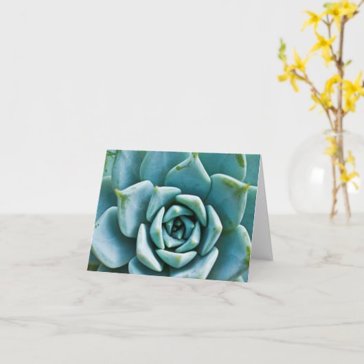 sukkulent karte (Gelbe Blume)