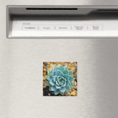 sukkulent magnet (In Situ (Geschirrspüler))