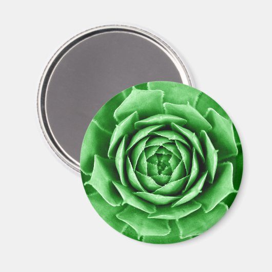 sukkulent magnet (Vorderseite/Rückseite)